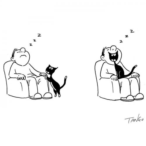 Новая серия смешных комиксов с неожиданной развязкой фото